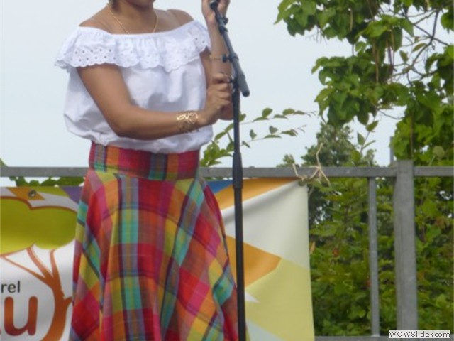 elsau 07062014__11