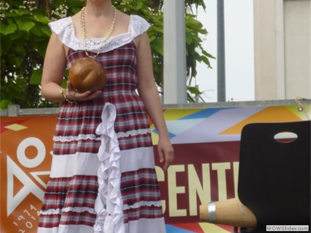 elsau 07062014__12