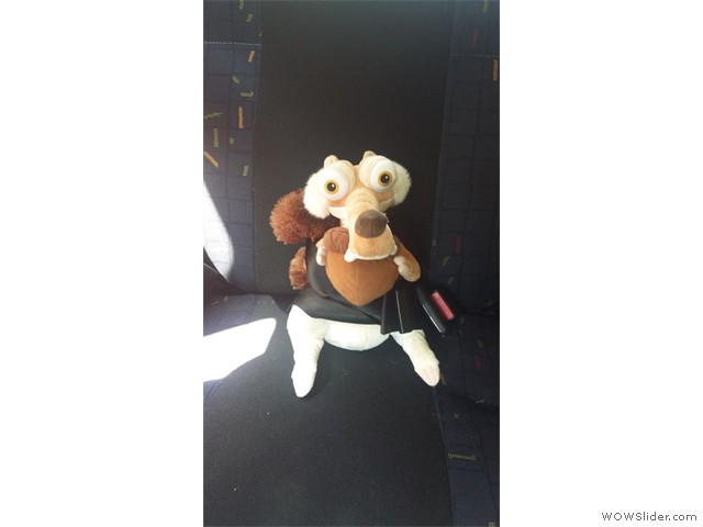Scrat en voiture
