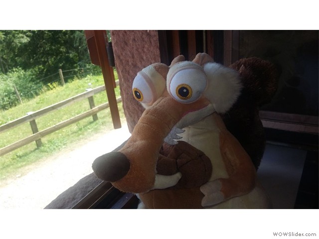 Scrat apprécie la vue
