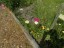 gite2016_17
