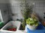 gite2016_27