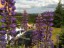gite2016_61