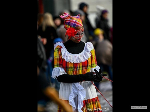 carnaval selestat 18022018 008