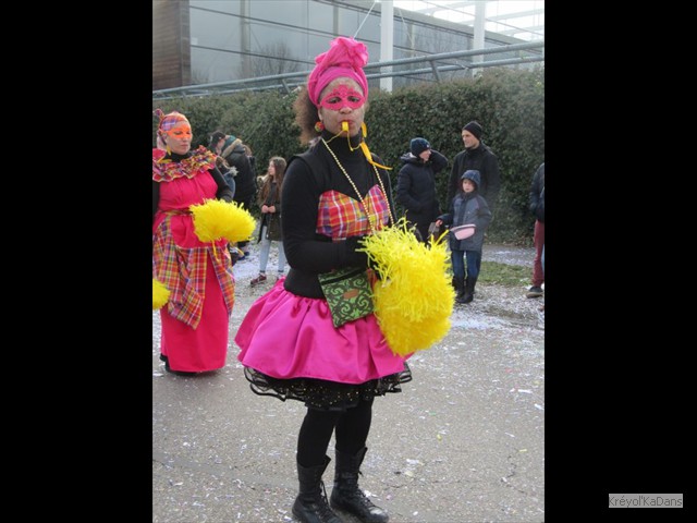 carnaval selestat 18022018 030