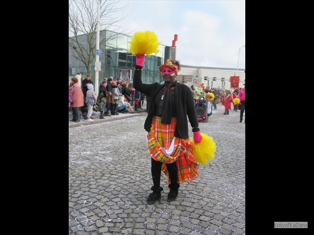 carnaval selestat 18022018 032
