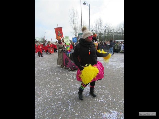 carnaval selestat 18022018 036
